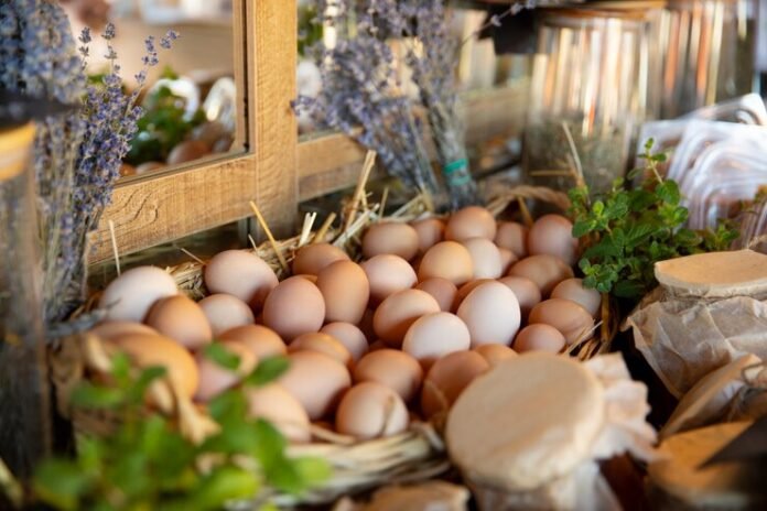 Sell Eggs